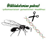 Ötökkäakatemia